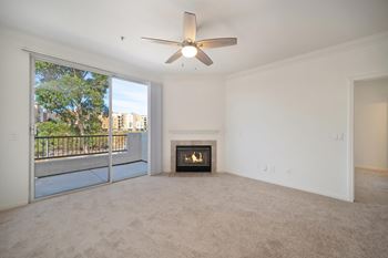 Gas fireplace